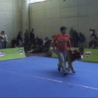 Salzburg Clubschau Mai 06 059 